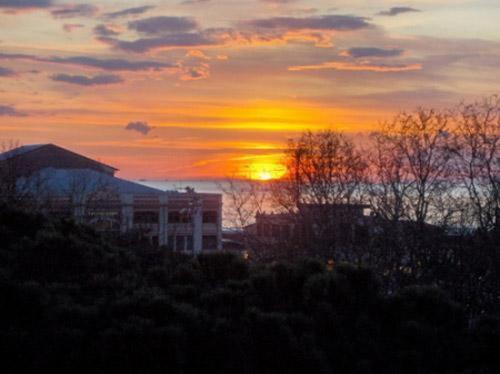 Hotel Firenze Viareggio Dış mekan fotoğraf